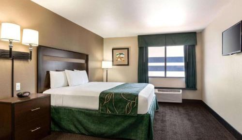 Queen Room - Non-Smoking