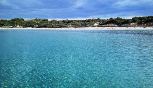 King Room with Garden View