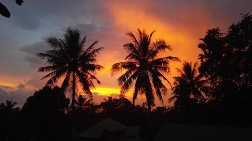 Deluxe Double Room with Fan