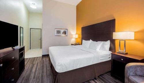 King Room with Roll-In Shower - Mobility Access/Non-Smoking