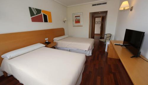 Double or Twin Room with Extra Bed