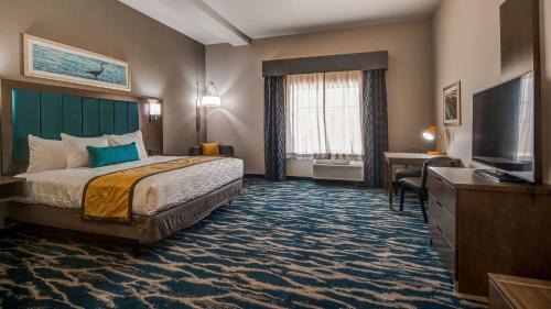 King Room with Roll-In Shower - Disability Access