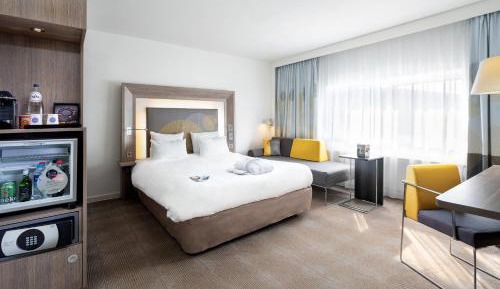 Deluxe Privilege Room with One Double Bed and Sofa Bed