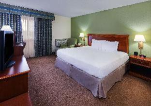 Standard King Room - Non Smoking