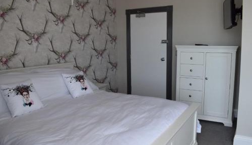 Superior Queen Room