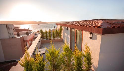 Triple Room with Terrace