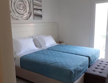 Deluxe Double or Twin Room with Balcony