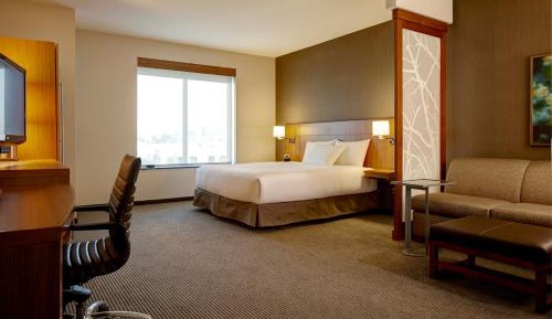 King Room with Sofa Bed and Roll-In Shower - Disability Access