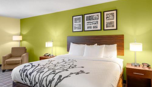 King Room - Accessible/Non-Smoking