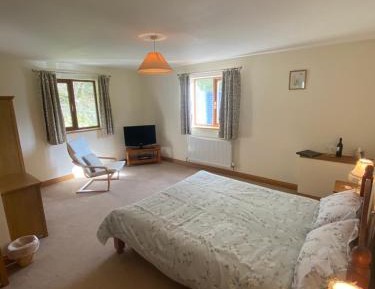 King Room with Private Bathroom