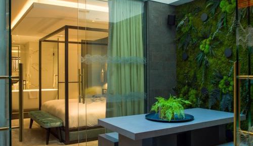 Luxury Suite