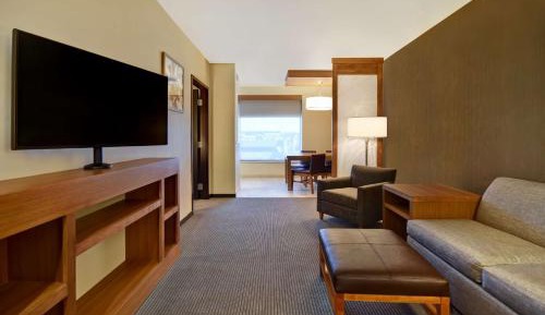 One-Bedroom King Suite with Sofa Bed