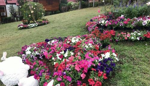 Family Room with Private Bathroom