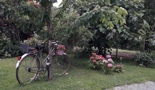 Studio with Garden View