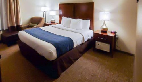 King Room with Roll-In Shower - Accessible/Non-Smoking