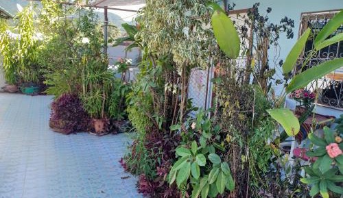 Twin Room with Private Bathroom