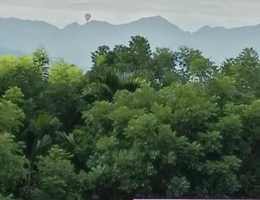 Double Room with Garden View