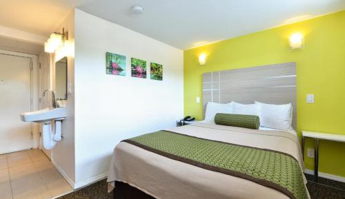 Single Room - Disability Access