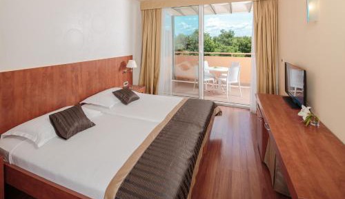 Classic Room with Balcony - Park Side