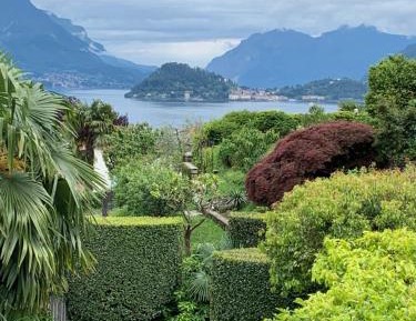 Double or Twin Room with Garden View