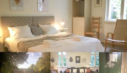 Studio with Sofa Bed