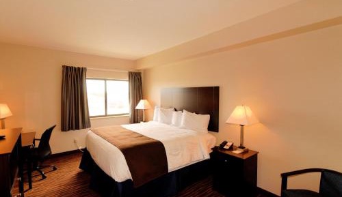Standard King Room