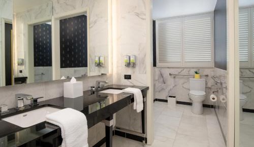 Starlet Queen Mobility Accessible w/Roll-in Shower & Comm. Features