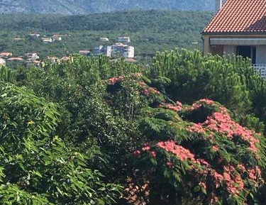 App 2  Apartment with Terrace, Balcony and Sea View