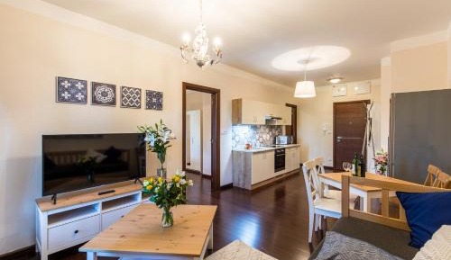Superior One-Bedroom Apartment