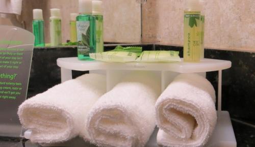 Standard Queen Room with Two Queen Beds and Roll-In Shower - Mobility Access