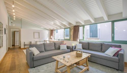 Penthouse Apartment