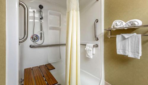 Queen Room with Roll-in-Shower - Accessible/Non-Smoking