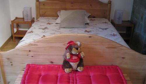 Double Room with Mountain View