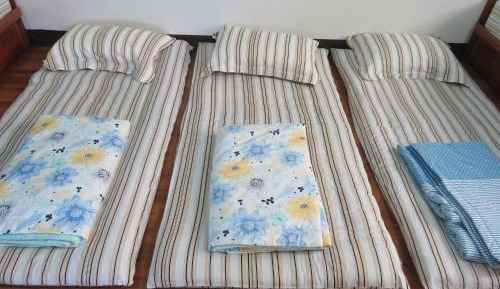 Bed in 8-Bed Mixed Dormitory Room