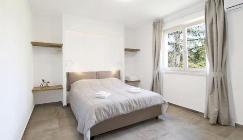 Superior One-Bedroom Apartment