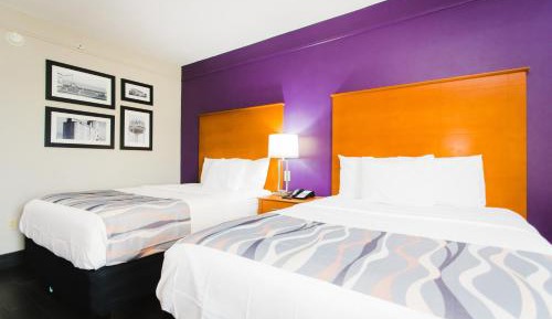 Standard Two Queen Bed 