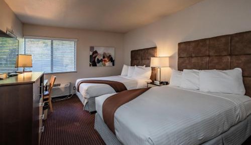 Double Room with Two Double Beds