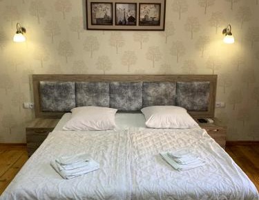 Large Double or Twin Room