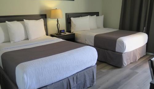 Deluxe 2 Double Beds - Non-Smoking