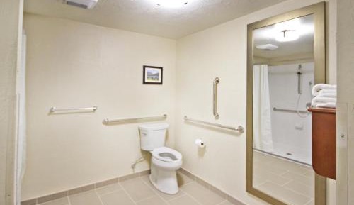 Deluxe King Room with Transfer Shower - Accessible/Non-Smoking
