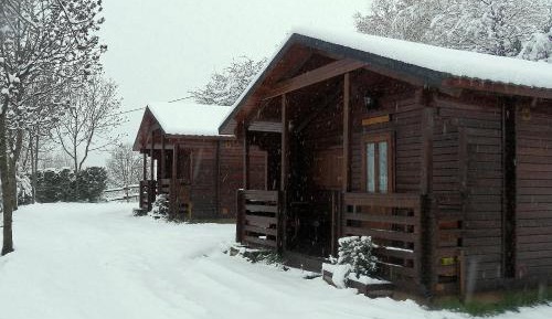 Bungalow (4 Adults)
