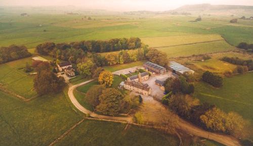 Luxury One-Bedroom Apartment