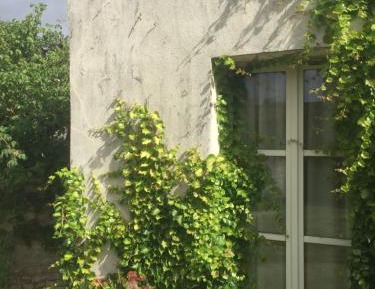Deluxe Double Room with Garden View