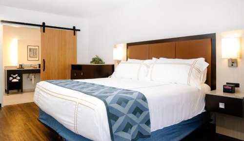 Superior King Room