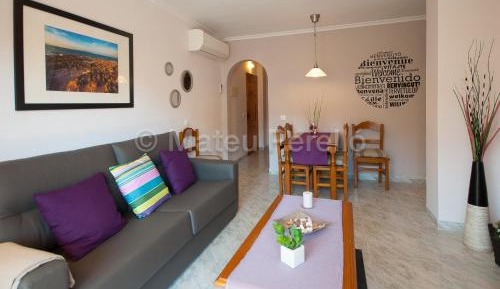Apartment - 1 
