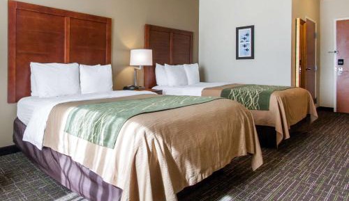 Queen Room with Two Queen Beds - Non-Smoking