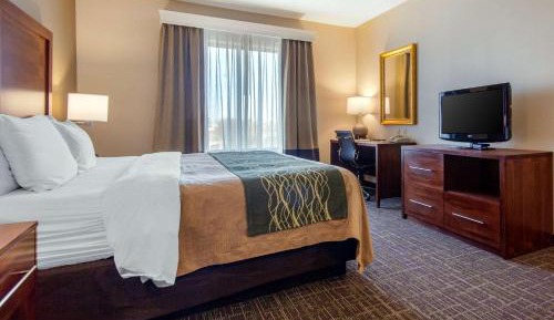 King Suite with Sofa Bed - Non-Smoking