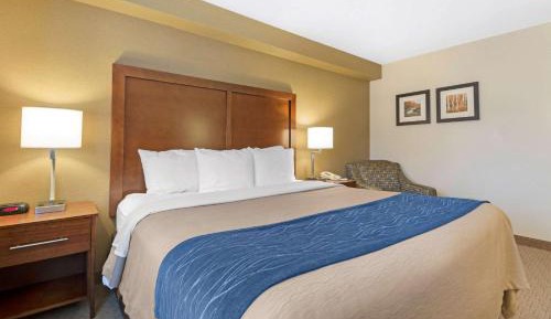 King Room with Roll-In Shower - Accessible/Non-Smoking