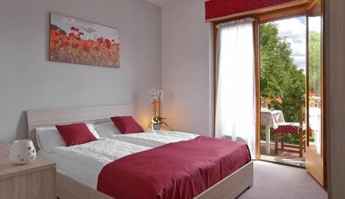 Double Room with Mountain View