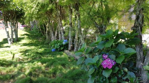 Quadruple Room with Shower